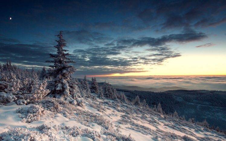 nature, Landscape, Winter, Snow, Forest, Hill, Moon, Sunset, Clouds, Trees, Mist, White, Blue, Valley HD Wallpaper Desktop Background