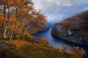 nature, Landscape, Fjord, Norway, Fall, Trees, Grass, Mountain, Clouds, Geiranger