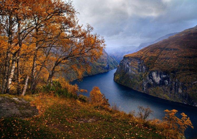nature, Landscape, Fjord, Norway, Fall, Trees, Grass, Mountain, Clouds, Geiranger HD Wallpaper Desktop Background