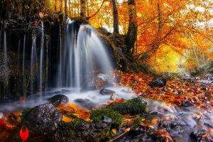 nature, Landscape, Waterfall, Trees, Leaves, Fall, Moss, Romania