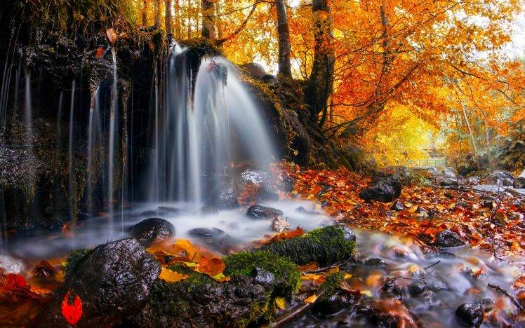 nature, Landscape, Waterfall, Trees, Leaves, Fall, Moss, Romania HD Wallpaper Desktop Background
