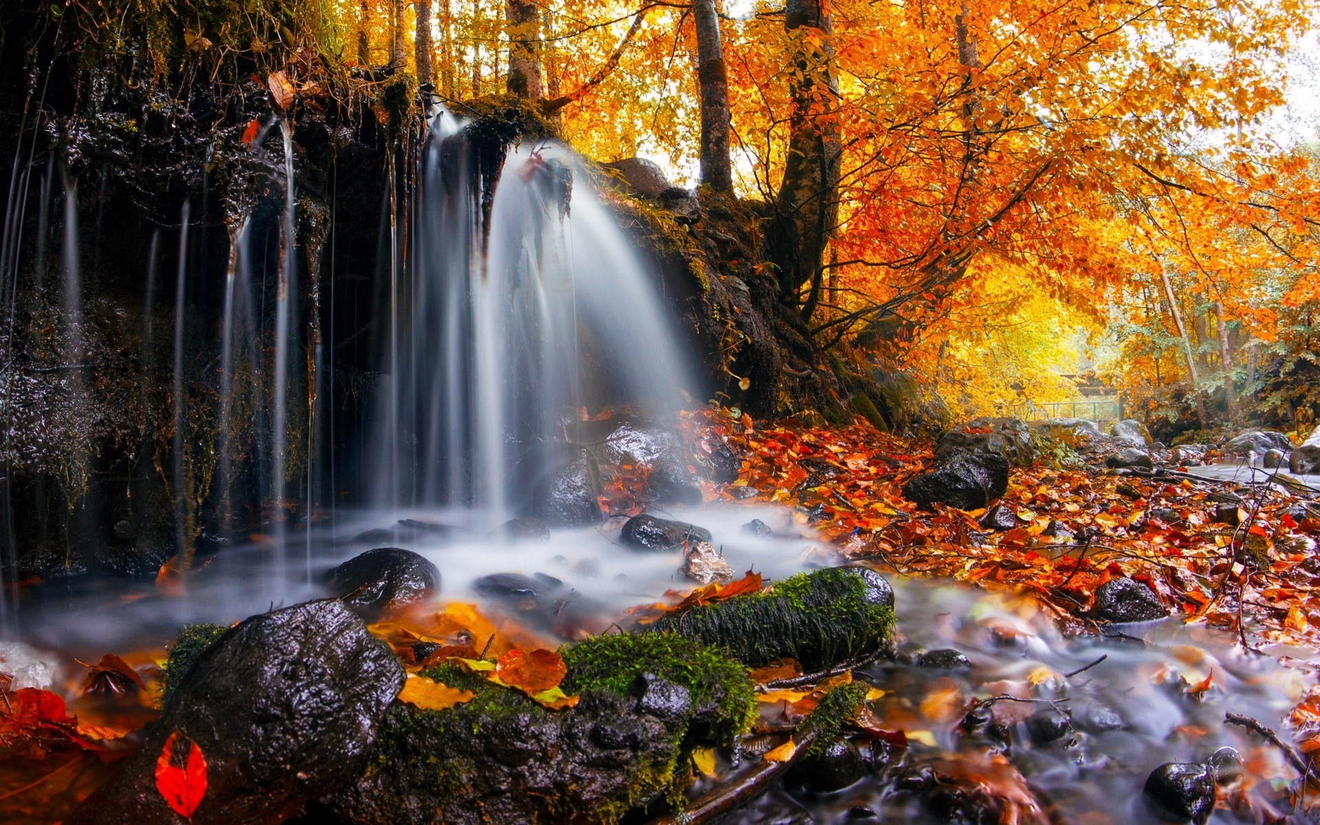 nature, Landscape, Waterfall, Trees, Leaves, Fall, Moss, Romania Wallpaper