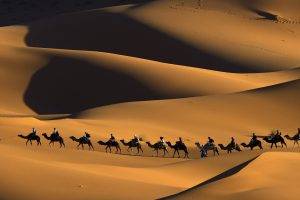 nature, Animals, Landscape, Camels, Morocco, Africa, Sand, Desert, Dune, People, Shadow, Footprints, Touaregs