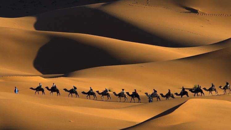 nature, Animals, Landscape, Camels, Morocco, Africa, Sand, Desert, Dune, People, Shadow, Footprints, Touaregs HD Wallpaper Desktop Background
