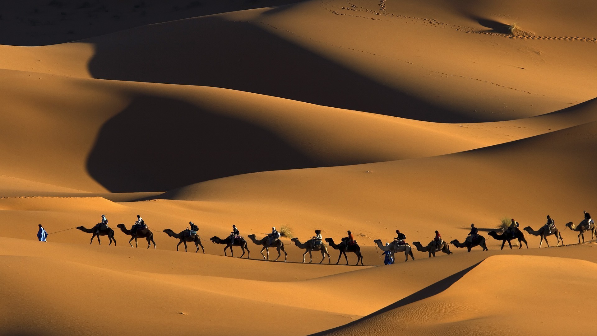 nature, Animals, Landscape, Camels, Morocco, Africa, Sand, Desert, Dune, People, Shadow, Footprints, Touaregs Wallpaper