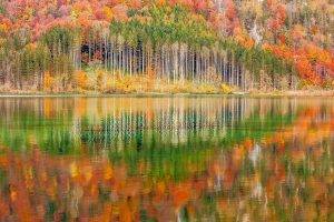nature, Landscape, Mountain, Forest, Lake, Austria, Trees, Colorful, Fall, Water, Reflection