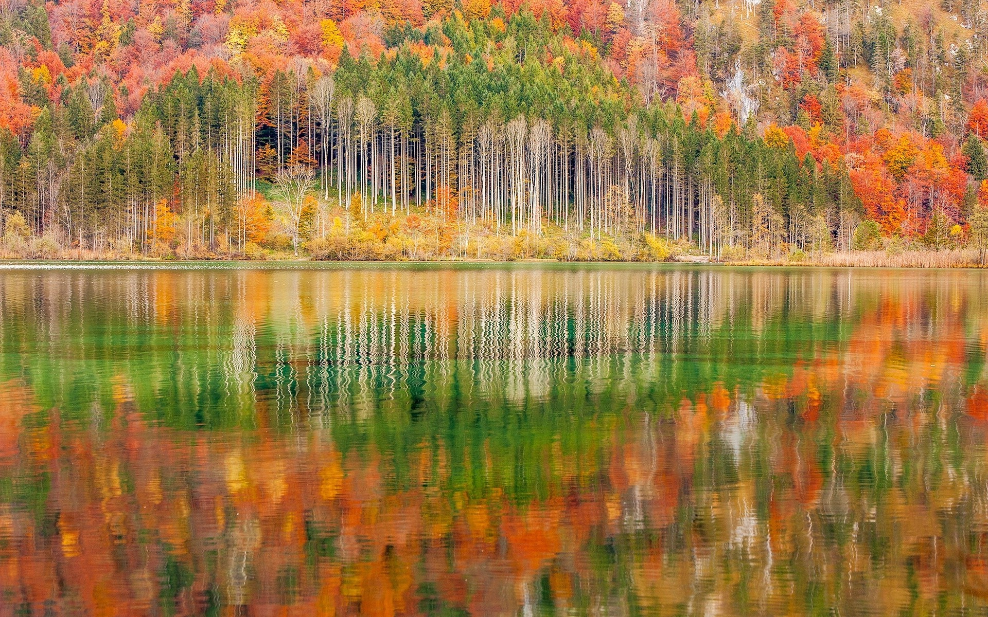 nature, Landscape, Mountain, Forest, Lake, Austria, Trees, Colorful, Fall, Water, Reflection Wallpaper