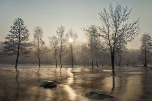 nature, Landscape, Winter, Morning, Frost, Trees, Mist, Sunrise, Cold