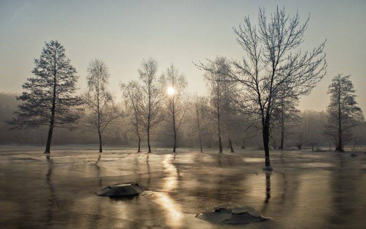nature, Landscape, Winter, Morning, Frost, Trees, Mist, Sunrise, Cold HD Wallpaper Desktop Background