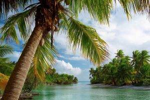 nature, Landscape, Island, Beach, Palm Trees, Tropical, Sea, Summer, Clouds