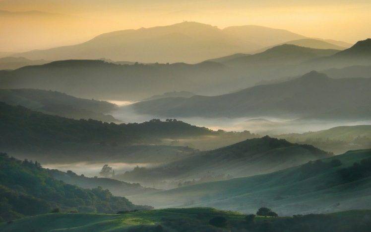nature, Landscape, Sunrise, Mist, Mountain, Valley, Trees HD Wallpaper Desktop Background