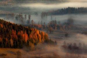 nature, Landscape, Fall, Mist, Forest, Sunrise, Trees, Hill