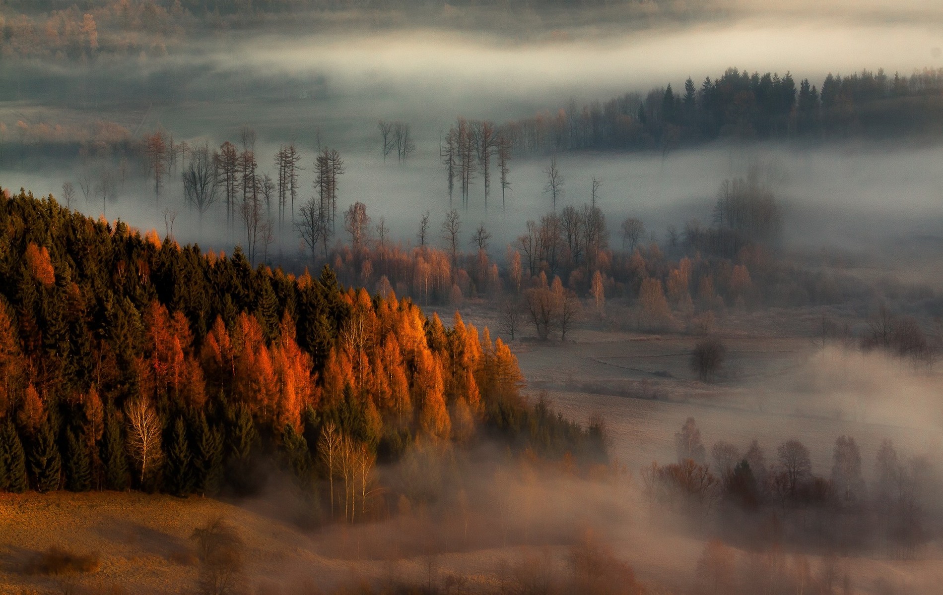 nature, Landscape, Fall, Mist, Forest, Sunrise, Trees, Hill Wallpaper
