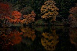 nature, Landscape, Fall, Lake, Forest, Water, Reflection, Trees, Maple Leaves, Colorful