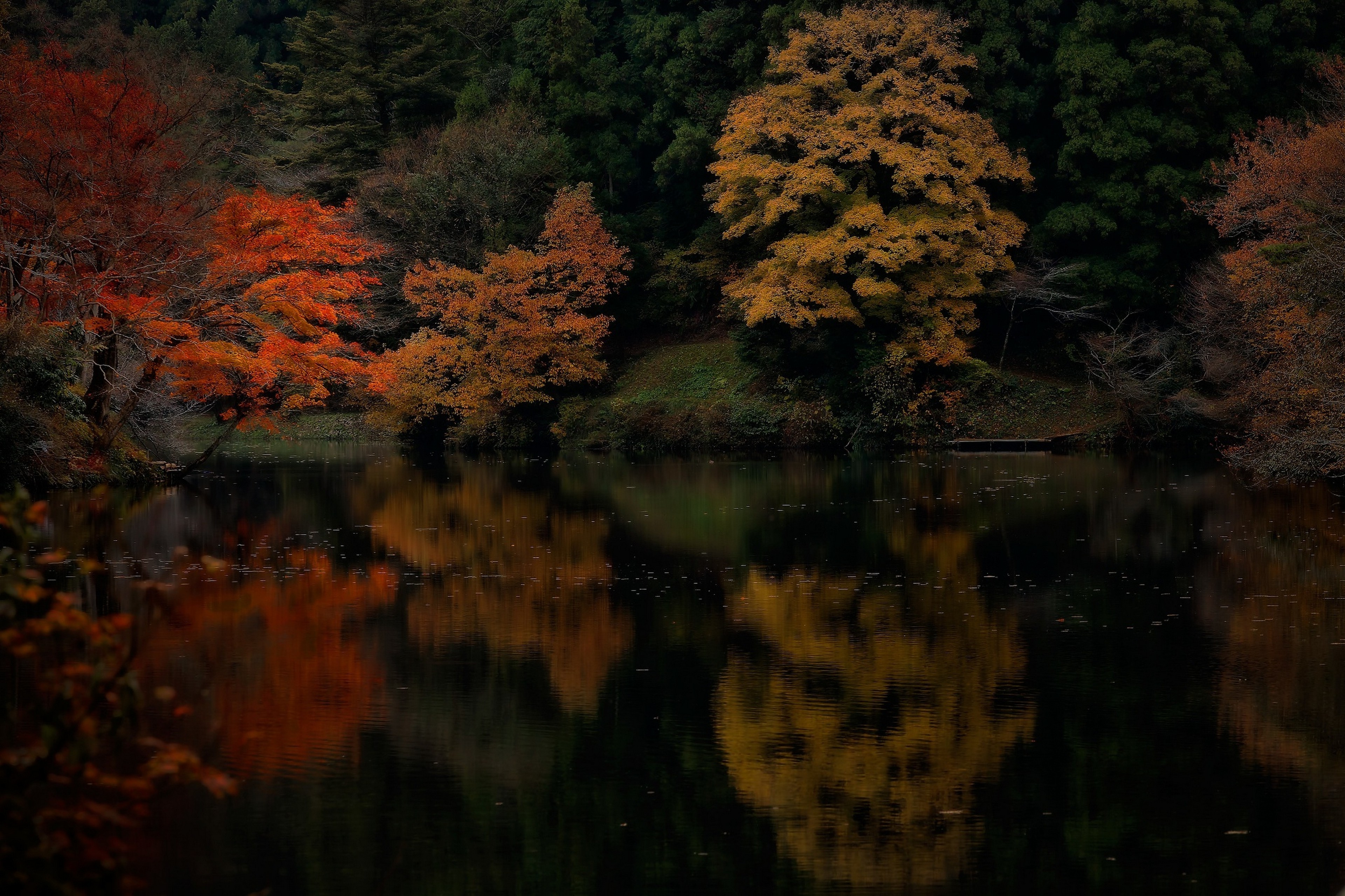 Lake Forest Sports Cars >> nature, Landscape, Fall, Lake, Forest, Water, Reflection ... Lake Forest Sports Cars >> nature, Landscape, Fall, Lake, Forest, Water, Reflection ...
