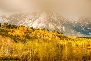 nature, Landscape, Mountain, Clouds, Trees, Forest, Hill, Grass, Wyoming, USA, Fall, Mist, Snowy Peak, Birch