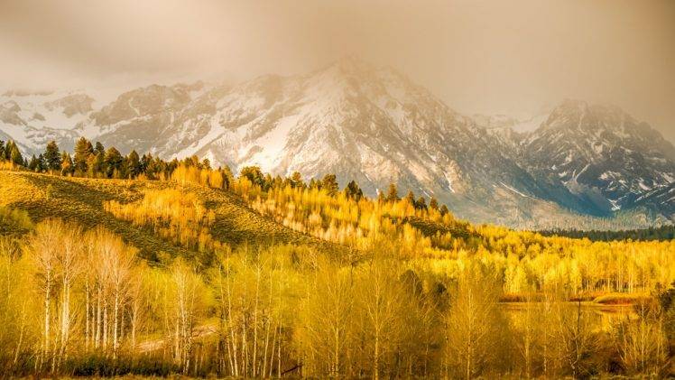 nature, Landscape, Mountain, Clouds, Trees, Forest, Hill, Grass, Wyoming, USA, Fall, Mist, Snowy Peak, Birch HD Wallpaper Desktop Background