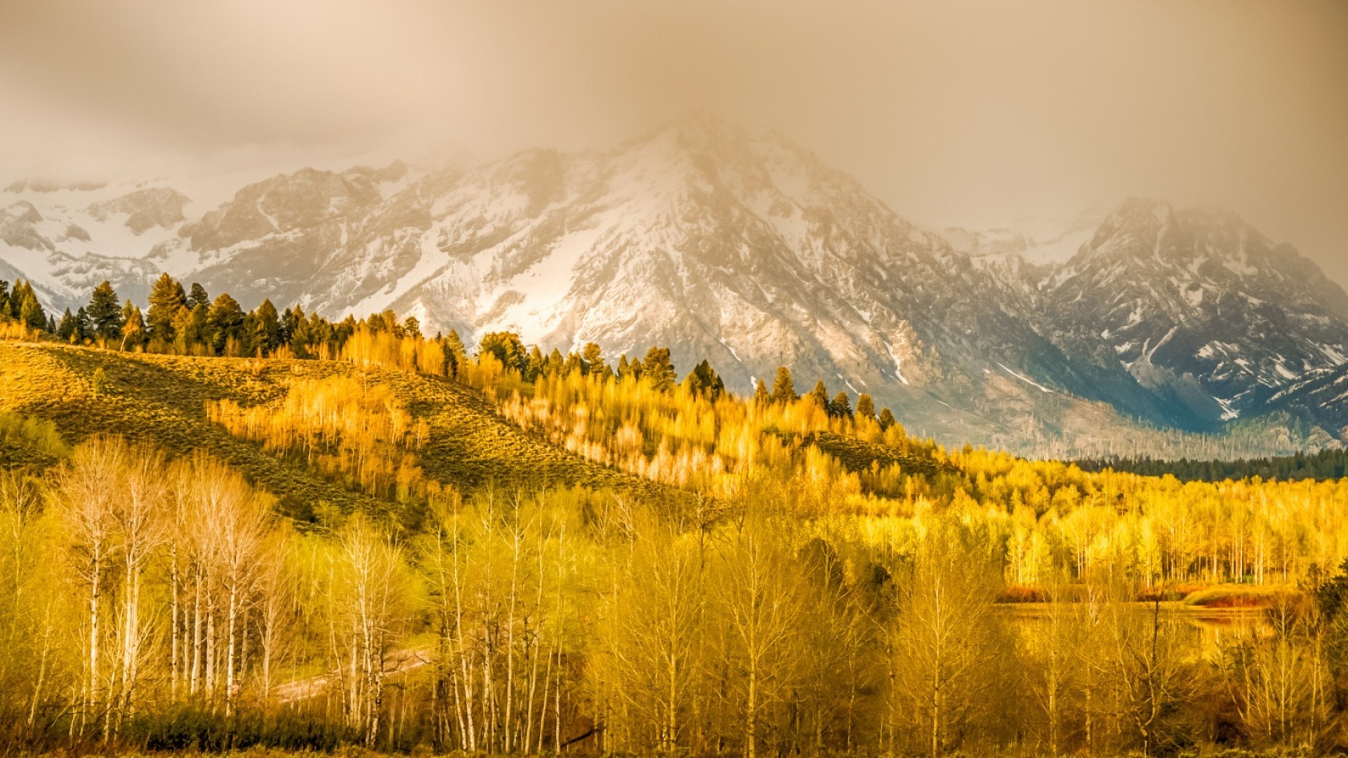 nature, Landscape, Mountain, Clouds, Trees, Forest, Hill, Grass, Wyoming, USA, Fall, Mist, Snowy Peak, Birch Wallpaper