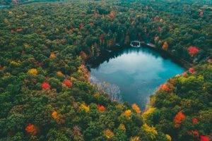 landscape, Nature, Forest, Lake, Colorful, Fall, Trees, Water, Blue, Red, Yellow, Green, Aerial View