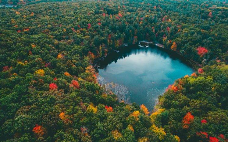 landscape, Nature, Forest, Lake, Colorful, Fall, Trees, Water, Blue, Red, Yellow, Green, Aerial View HD Wallpaper Desktop Background