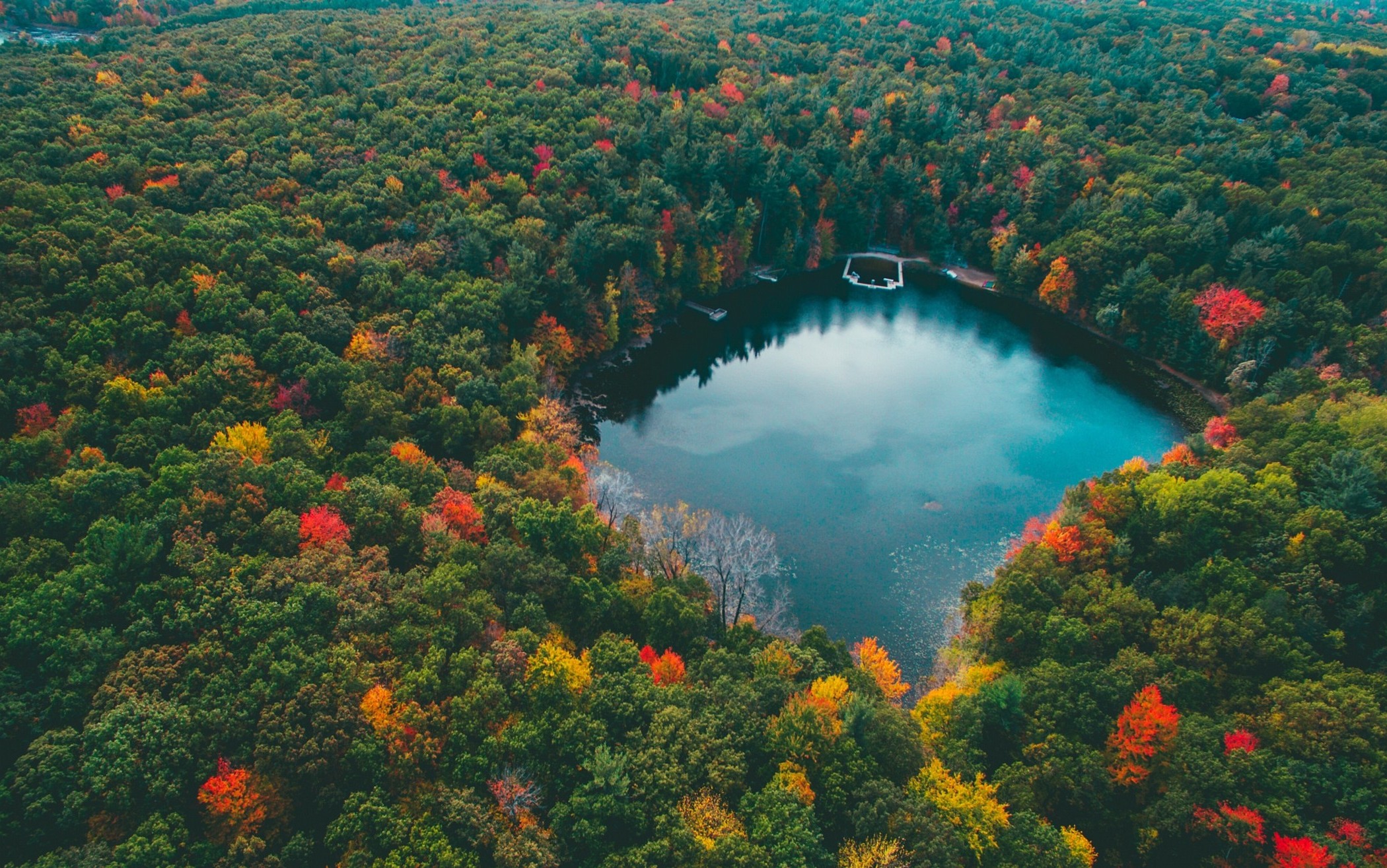 landscape, Nature, Forest, Lake, Colorful, Fall, Trees, Water, Blue, Red, Yellow, Green, Aerial View Wallpaper