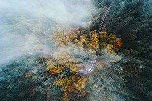 landscape, Nature, Oregon, Forest, Road, Highway, Fall, Mist, Drone, Aerial View, Trees