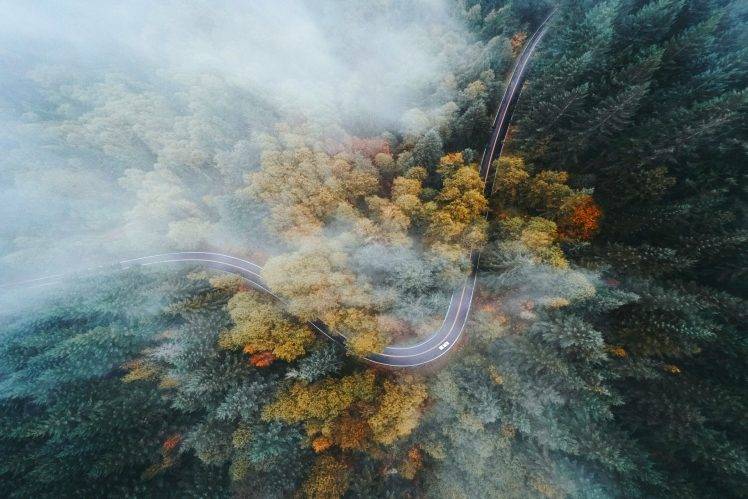 landscape, Nature, Oregon, Forest, Road, Highway, Fall, Mist, Drone, Aerial View, Trees HD Wallpaper Desktop Background