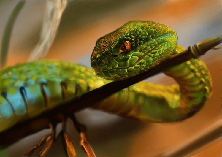 animals, Snake HD Wallpaper Desktop Background