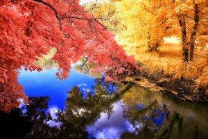 nature, Landscape, Fall, Colorful, Grass, Trees, Lake, Reflection, Calm, Water, Yellow, Blue, Pink