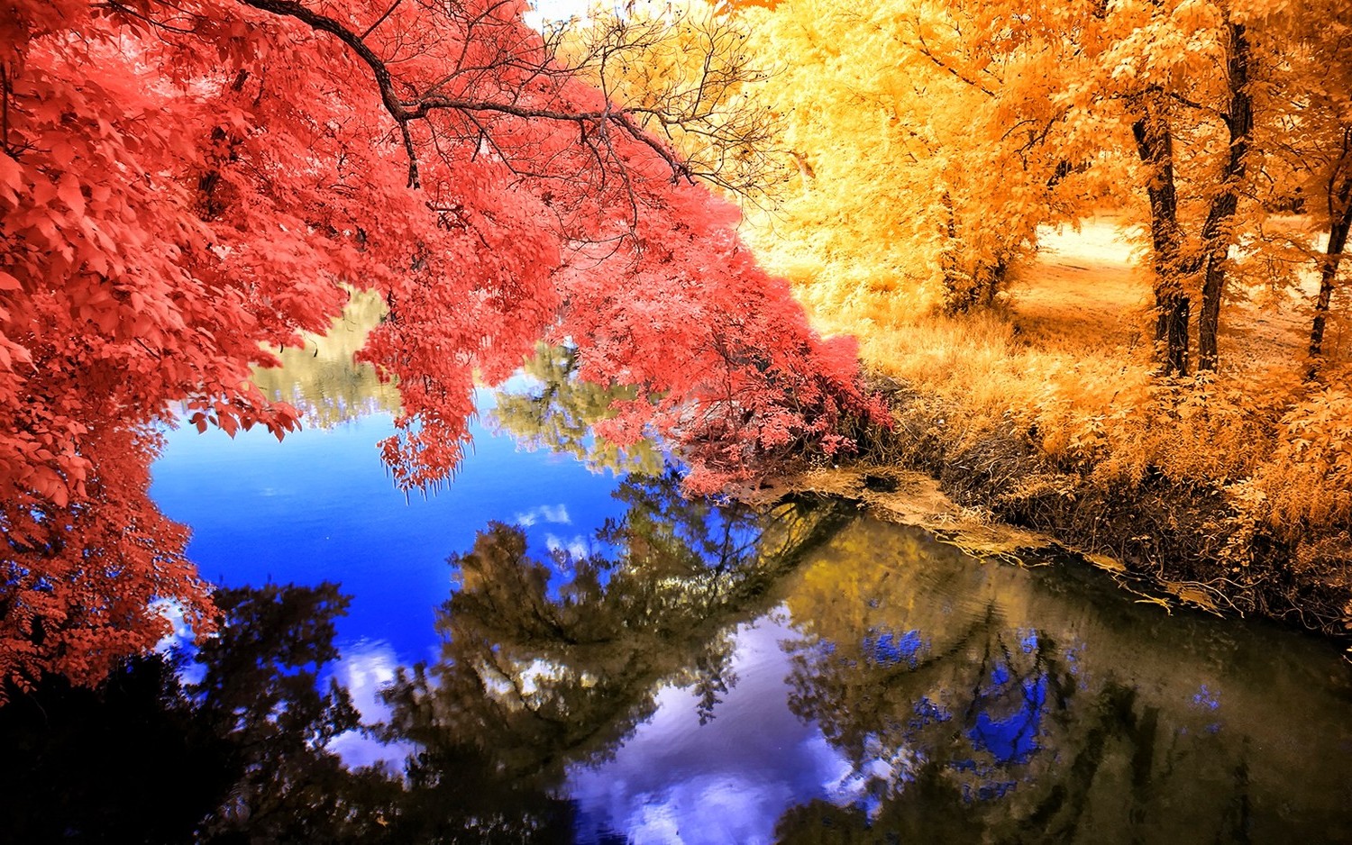 nature, Landscape, Fall, Colorful, Grass, Trees, Lake, Reflection, Calm, Water, Yellow, Blue, Pink Wallpaper