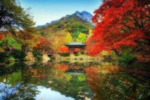 nature, Landscape, Fall, Trees, Reflection, People, Mountain, Temple, Water, Park