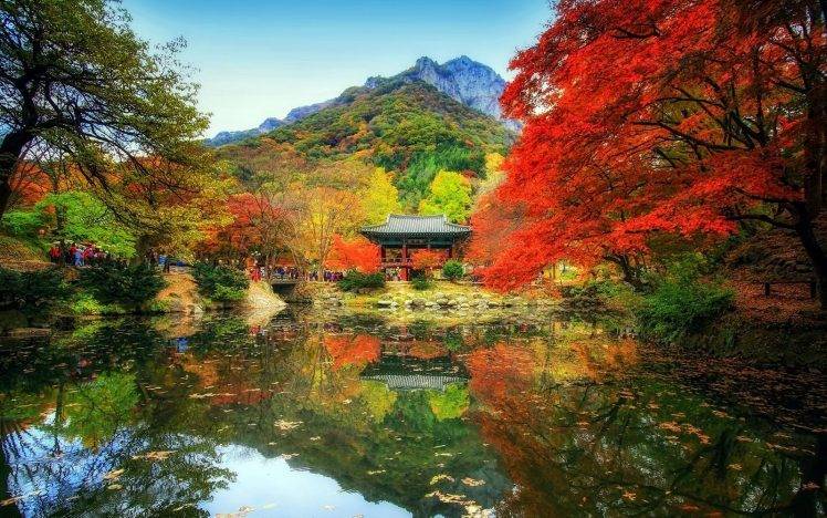 nature, Landscape, Fall, Trees, Reflection, People, Mountain, Temple, Water, Park HD Wallpaper Desktop Background