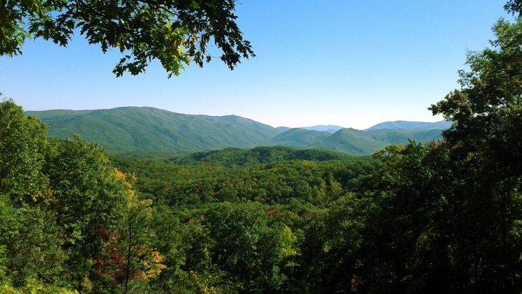 Tennessee, Smoky Mountains, Forest, Mountain, Landscape HD Wallpaper Desktop Background
