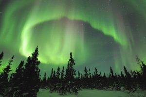 nature, Green, Sky, Forest, Aurorae