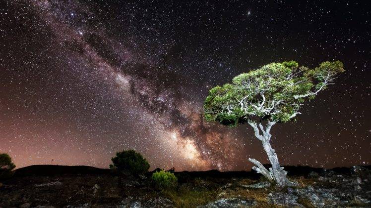 nature, Sky, Night, Milky Way, Stars, Landscape, Trees, Rock, Hill, Long Exposure HD Wallpaper Desktop Background