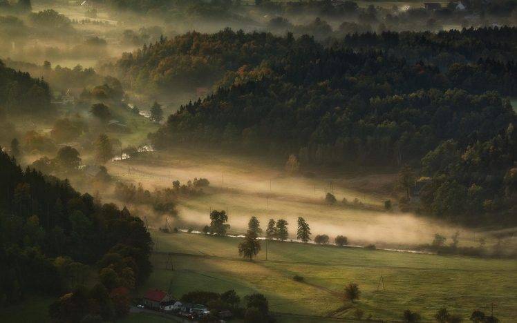 landscape, Nature, Mist, Valley, Morning, Forest, Farm, Field, Trees, Hill HD Wallpaper Desktop Background