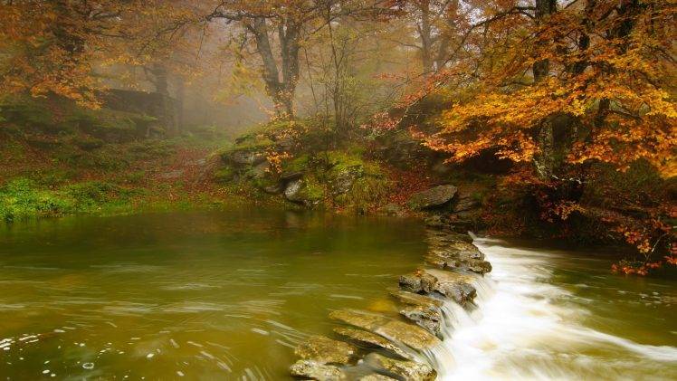 nature, Landscape, River, Forest, Trees, Stones HD Wallpaper Desktop Background