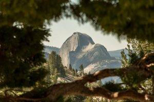 nature, Mountain, Yosemite National Park, Landscape, USA, Trees, Depth Of Field, Half Dome