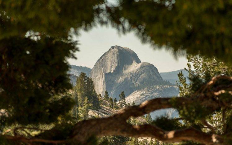 nature, Mountain, Yosemite National Park, Landscape, USA, Trees, Depth Of Field, Half Dome HD Wallpaper Desktop Background
