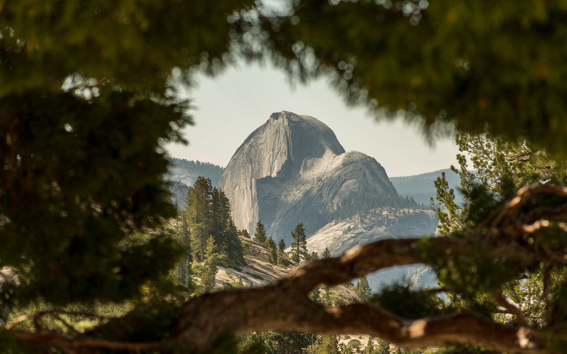 nature, Mountain, Yosemite National Park, Landscape, USA, Trees, Depth Of Field, Half Dome Wallpaper