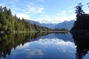 landscape, Lake, Snowy Peak, New Zealand, Lake Matheson, Fox Glacier, Trees