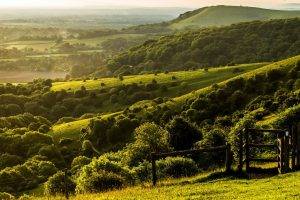 nature, Landscape, Trees, Forest, England, UK, Hill, West Sussex, Field, Grass, Fence, Green