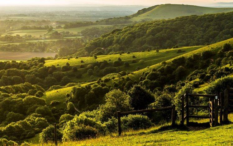 nature, Landscape, Trees, Forest, England, UK, Hill, West Sussex, Field, Grass, Fence, Green HD Wallpaper Desktop Background