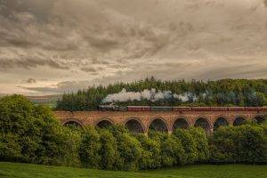 nature, Landscape, Trees, Forest, England, UK, Hill, Sky, Clouds, Viaduct, Bridge, Railway, Train, Steam Locomotive, HDR, Grass, Smoke, Field