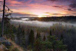 nature, Landscape, Sunrise, Forest, Mist, Fall, Sky, Clouds, Trees, Finland