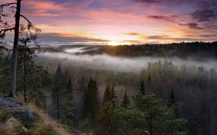 nature, Landscape, Sunrise, Forest, Mist, Fall, Sky, Clouds, Trees, Finland HD Wallpaper Desktop Background