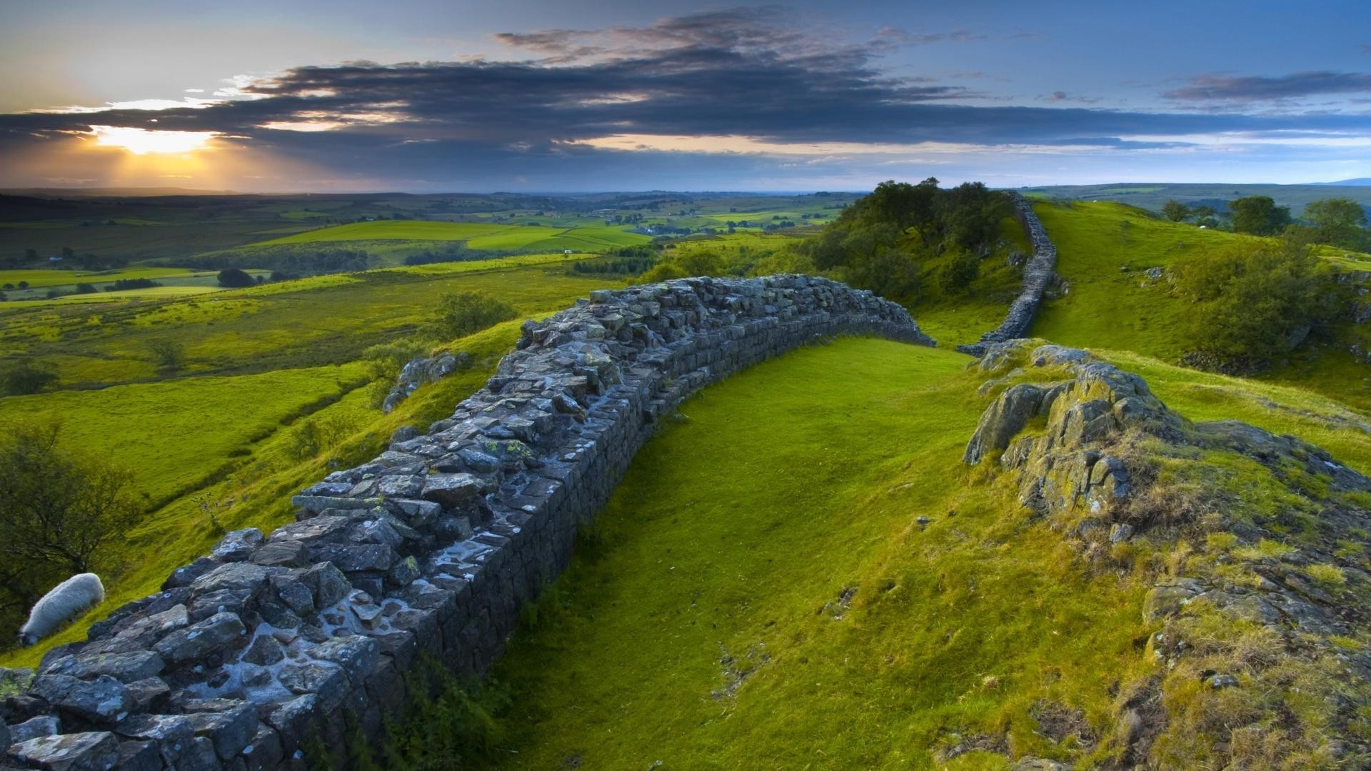 nature, Landscape, England, UK, Hill, Sky, Clouds, Trees, Stones, Hadrians Wall, Roman, History, Grass, Field, Animals, Sheep, Sun, Sunlight Wallpaper