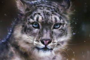 leopard, Snow Leopards, Animals, Artwork, Digital Art