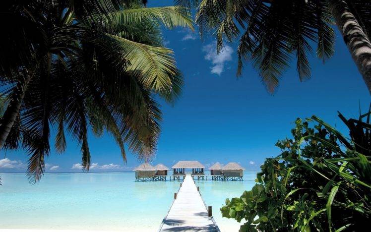 nature, Landscape, Beach, Walkway, Palm Trees, Sea, Water, Cabin, Tropical, Summer, Blue, Sky, Maldives HD Wallpaper Desktop Background