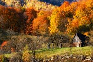 fall, Barns, Nature, Forest, Grass, Hill, Landscape, Trees, Colorful, Fence